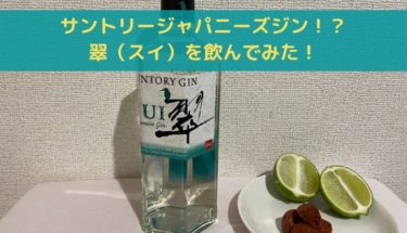 【新感覚】サントリー・ジャパニーズジン・翠（スイ）を飲んでみた！【レビュー】